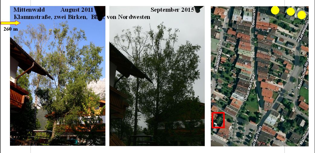 Mittenwald Birken 2011 und 2015 Luftbild Landesamt für Vermessung.jpg