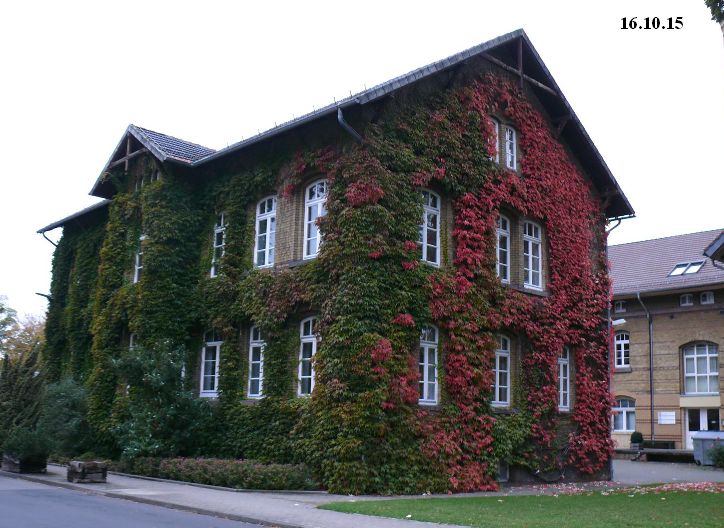 Universität_Göttingen_Gebäudemanagment_16.10.15.jpg