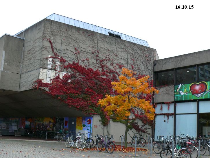 Universität_Göttingen_ZHG_Wilder_Wein_16.10.15.jpg
