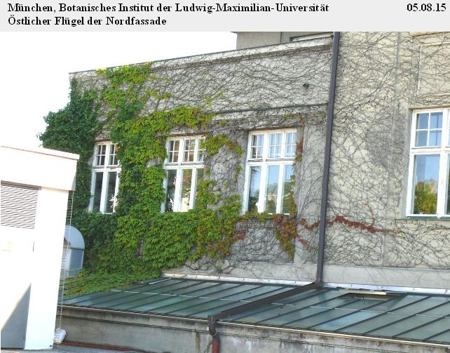 München Botanisches Institut Ostflügel Ausschnitt 05.08.15.jpg