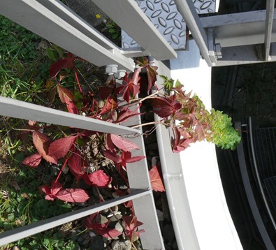 Wilder Wein Tiefgarage unten web.jpg