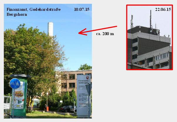 Bild 6 Bergahorn Finanzamt 10.07.15.jpg